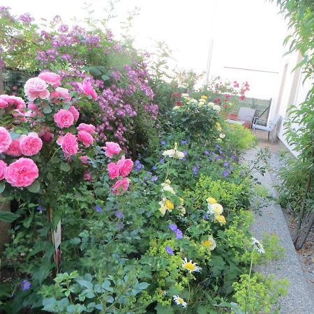 זלצבורג Premium City Apartment Amadeus מראה חיצוני תמונה